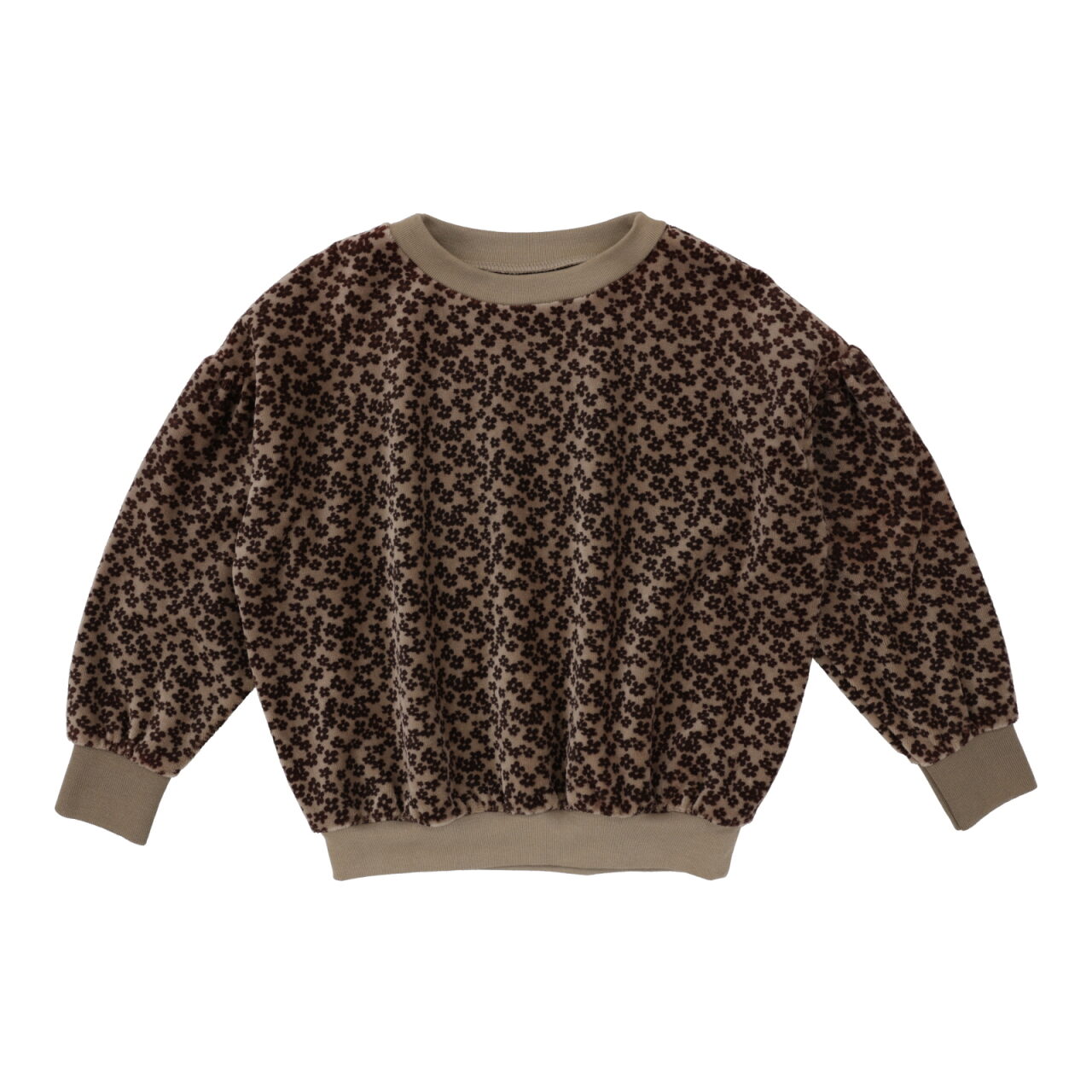 Analogie Velour Sweatshirt - FW24 -