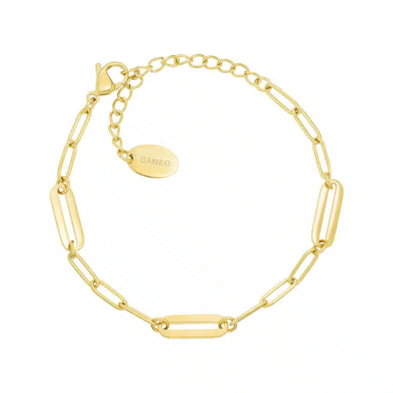 Cameo Collection Bracelet - B1369