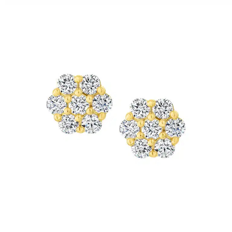 Cameo Collection Earring - SE2165 -