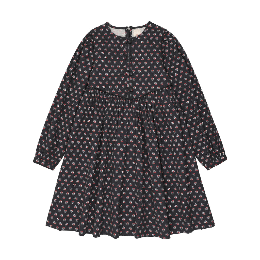 Analagie Home Garden Velvet Trim Dress Big Girl - FW26 -