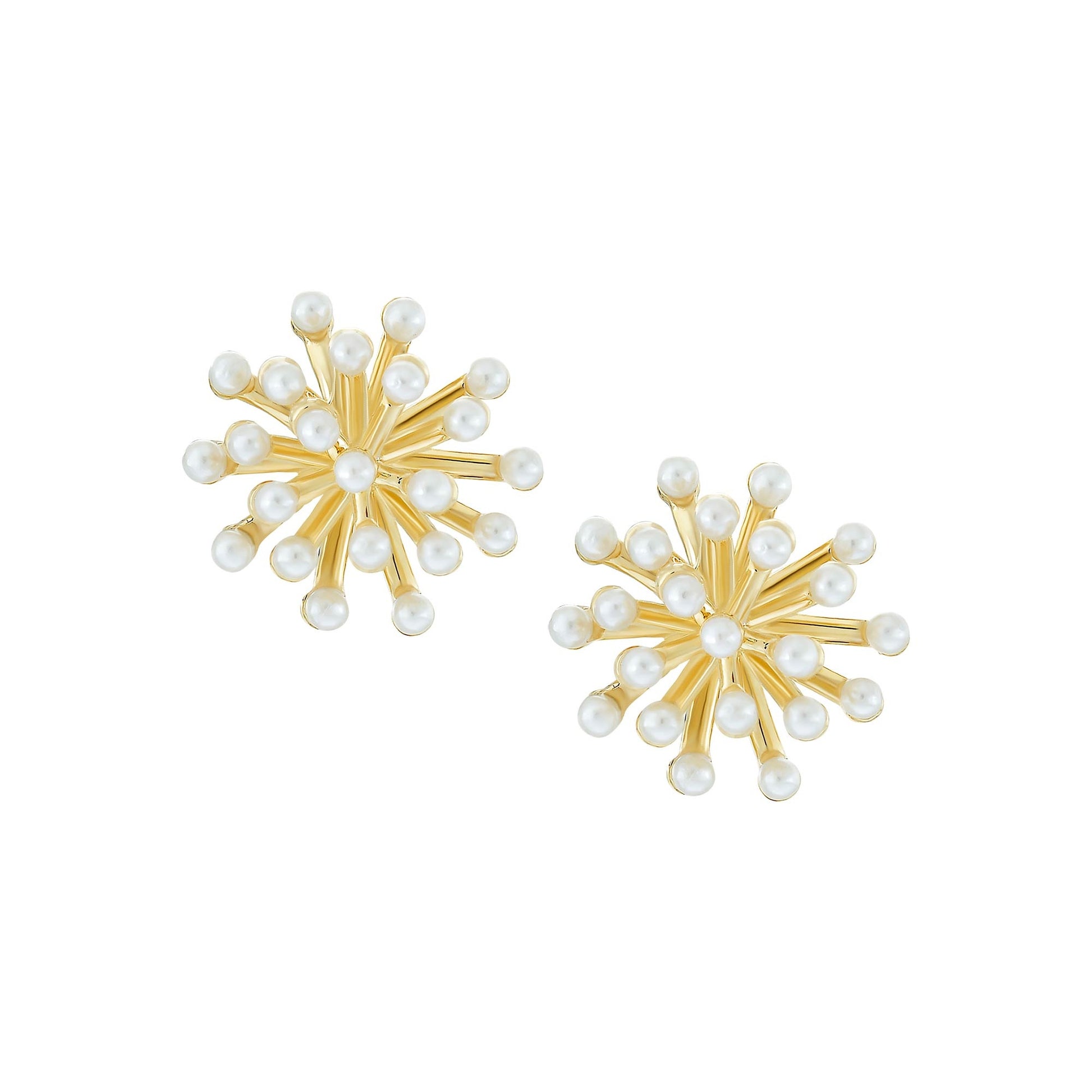 Cameo Collection Earring - SE2106